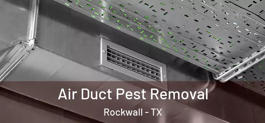 Air Duct Pest Removal Rockwall - TX