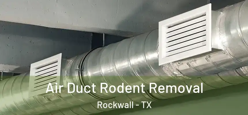 Air Duct Rodent Removal Rockwall - TX