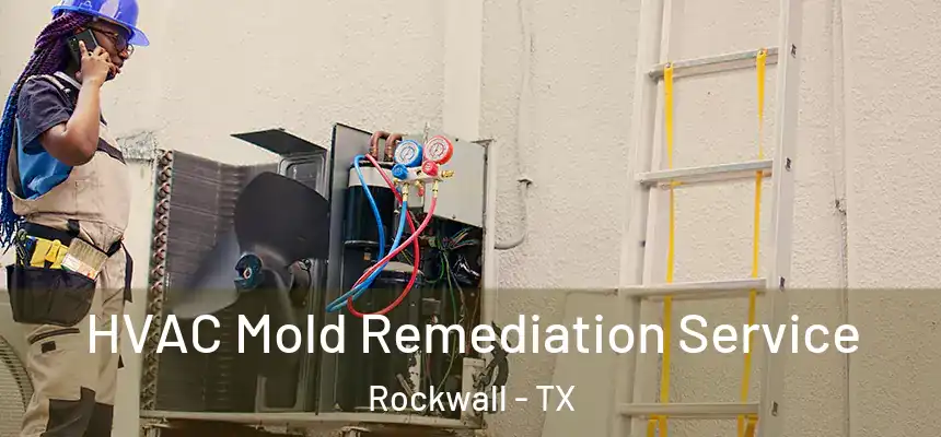  HVAC Mold Remediation Service Rockwall - TX