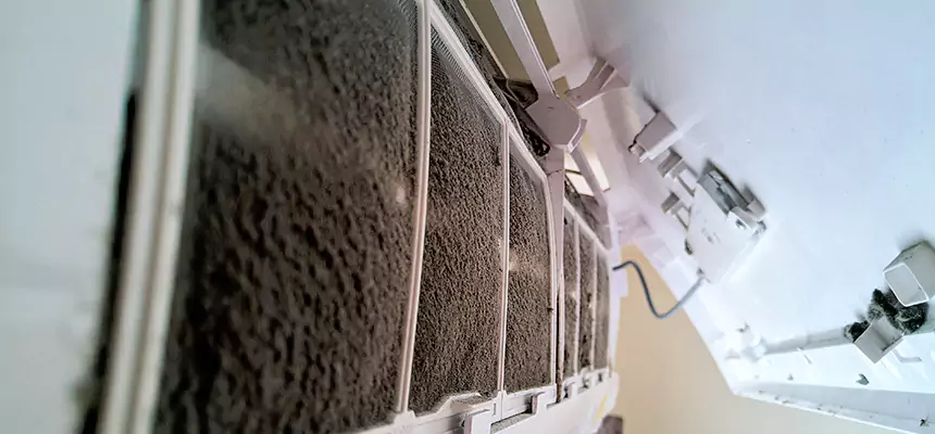 Preventive Air Duct Bacteria Removal in Rockwall