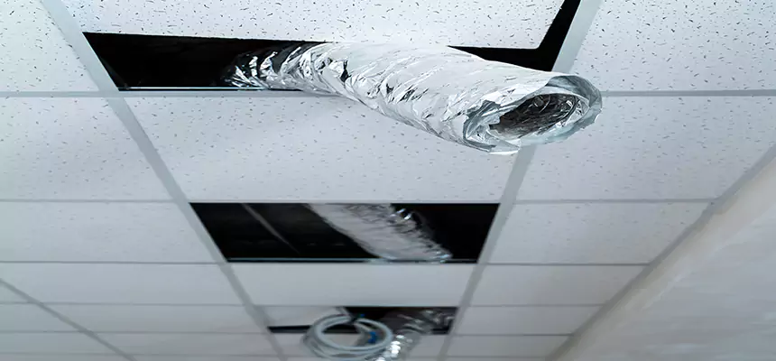 Our Air Duct Pet Hair Removal Services in Rockwall, TX