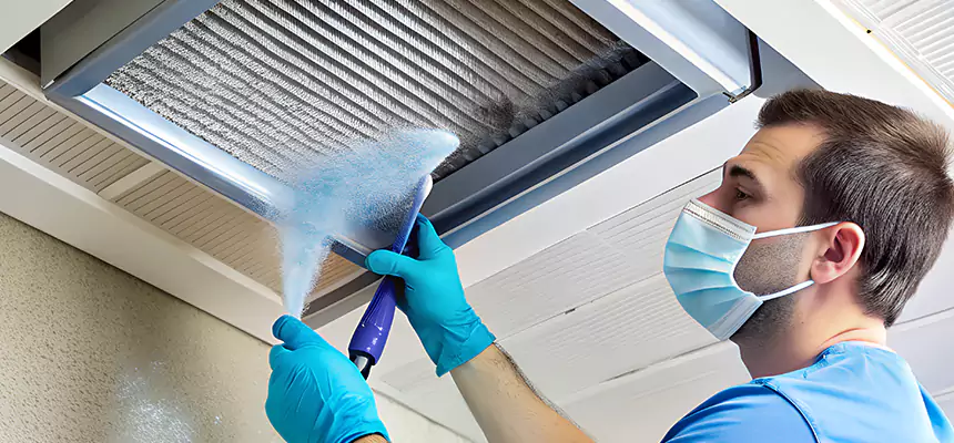 Proactive Dryer Vent & Auxiliary Duct Pollen Cleanup in Rockwall, TX