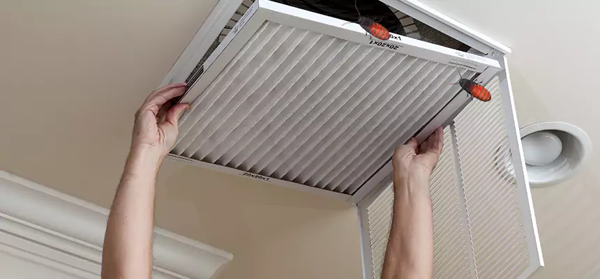 Our Insect Removal from Air Ducts Services in Rockwall, TX