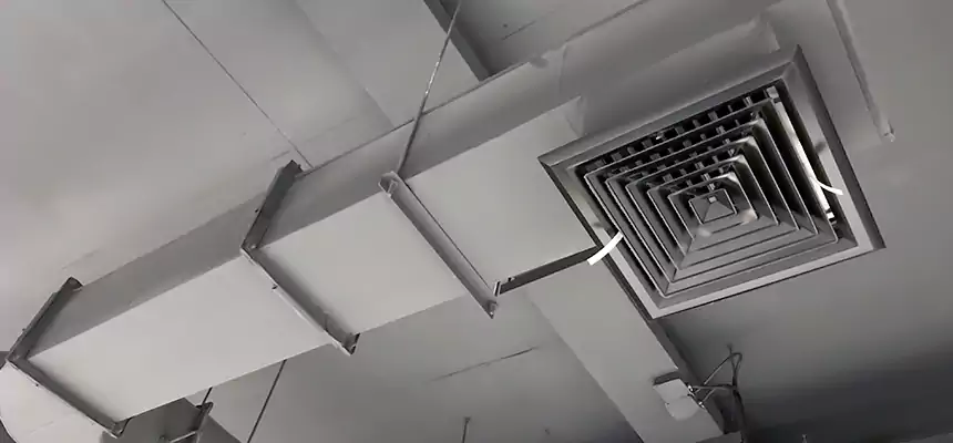 Our Pest Removal From Ducts Services in Rockwall, TX