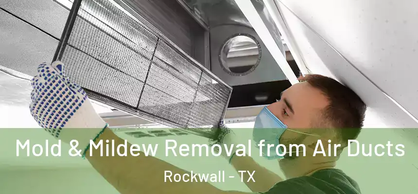 Mold & Mildew Removal from Air Ducts Rockwall - TX