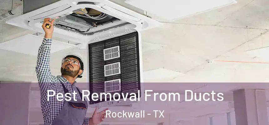 Pest Removal From Ducts Rockwall - TX