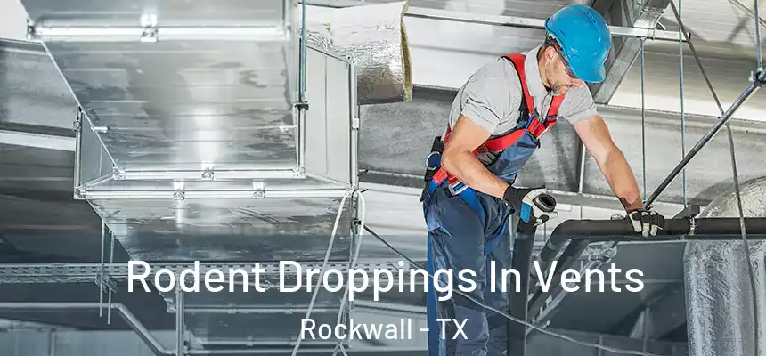 Rodent Droppings In Vents Rockwall - TX