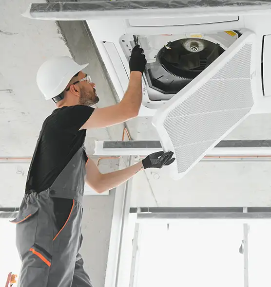 About Air Duct Rodent Removal in Rockwall, TX