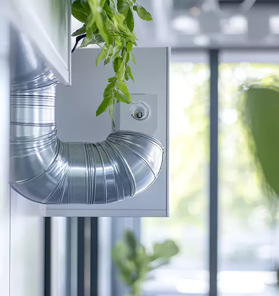 Professional Eco-Friendly Duct Cleaning Services in Rockwall, TX