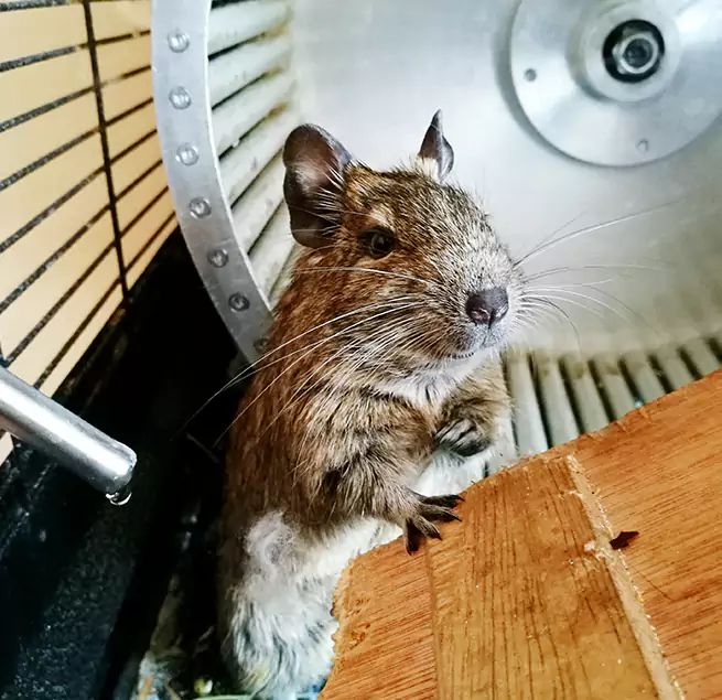 Why Homeowners & Businesses Trust Us Rockwall, TX