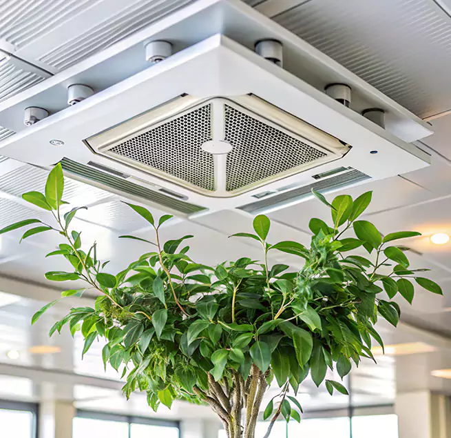 Why Homeowners & Businesses Trust Us in Rockwall, TX?