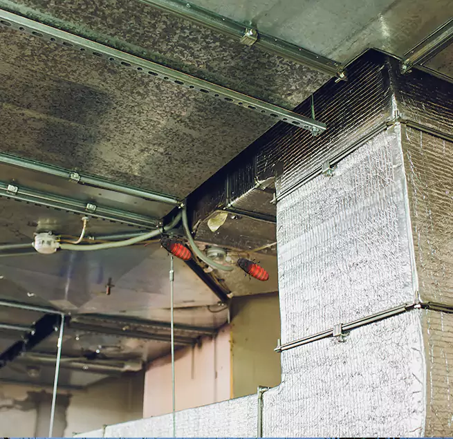 Why Homeowners & Businesses Trust Us Rockwall, TX?