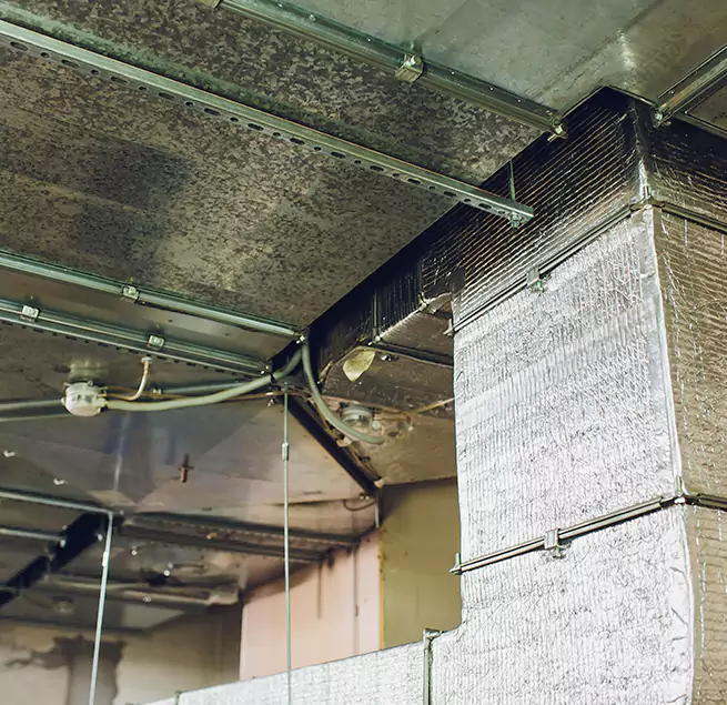 Why Homeowners & Businesses Trust Us in Rockwall, TX?