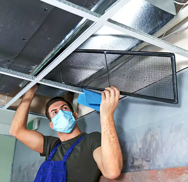 Why Homeowners Businesses Trust Us in Rockwall, TX